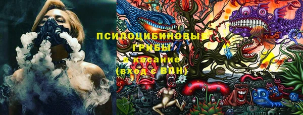МДПВ Абдулино